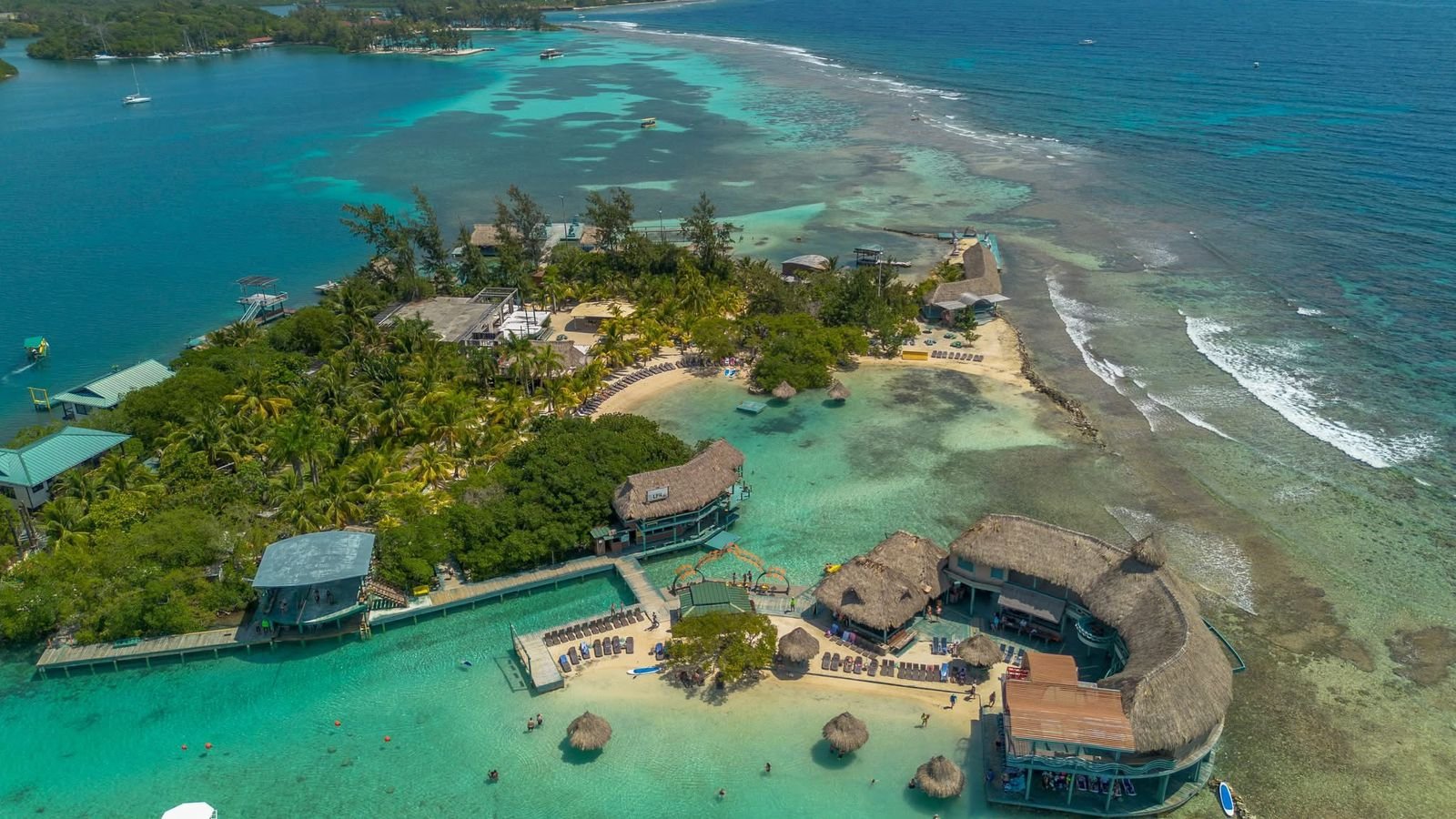 Little French Key & Sloths